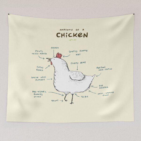 Item preview, Anatomy of a Chicken designed and sold by SophieCorrigan.