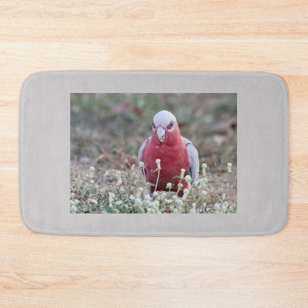 Item preview, Galah  designed and sold by MargsNaturePix.