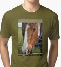 LOOKING THROUGH THE FENCE Tri-blend T-Shirt