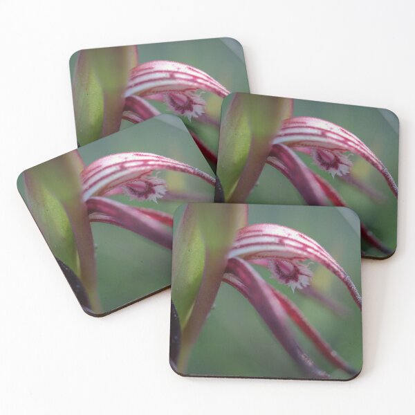 Item preview, Fire Orchid designed and sold by Ben Loveday.
