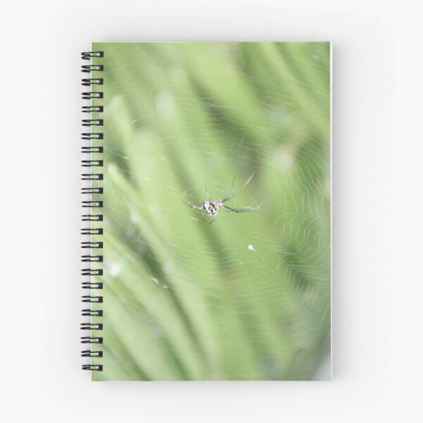 Item preview, Spiders web designed and sold by LukeRosenberg.