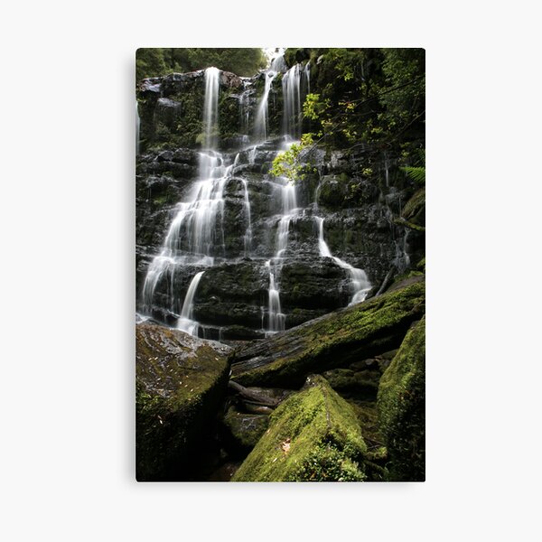 Nelson Falls, Tasmania, Australia Canvas Print