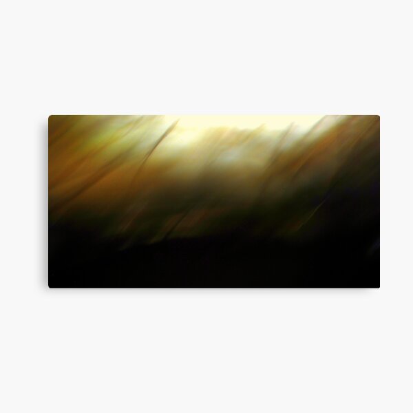 The Darkness Before.. Canvas Print