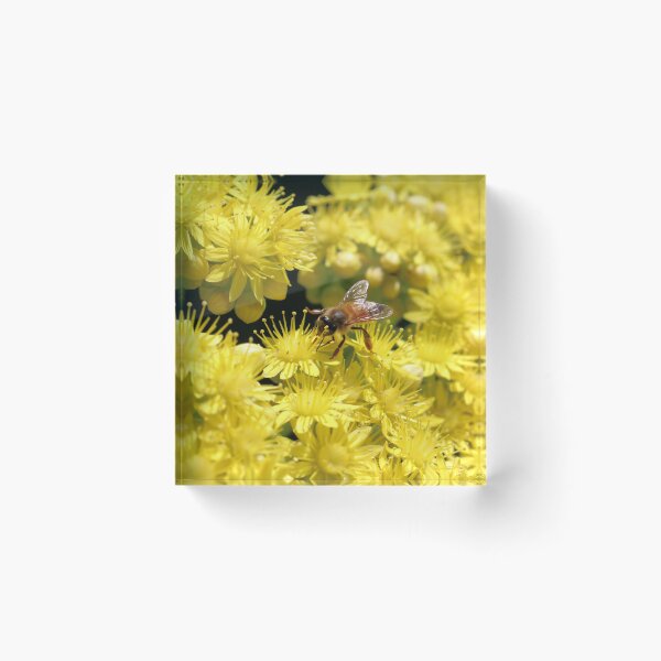 Item preview, Don't worry, bee happy designed and sold by NanaRusty.