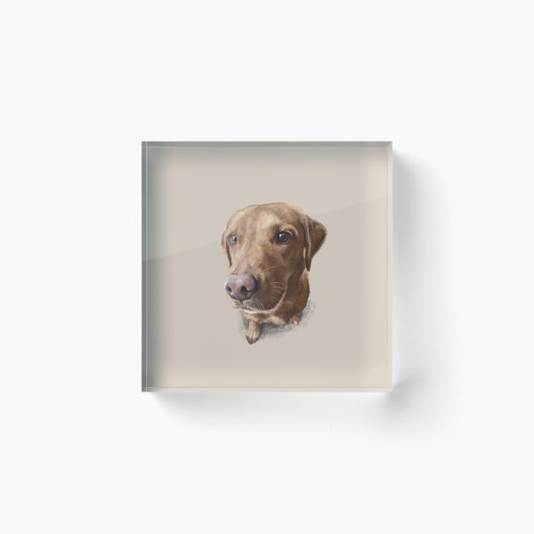 Item preview, Finn the Labrador designed and sold by Elspeth Rose Design.