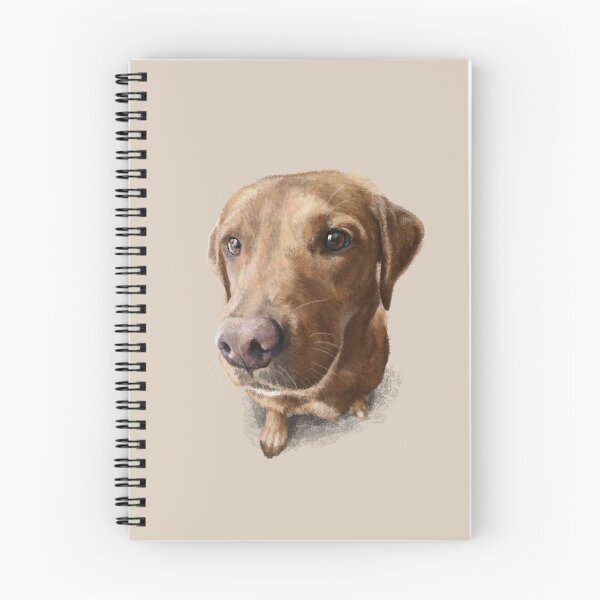 Item preview, Finn the Labrador designed and sold by Elspeth Rose Design.
