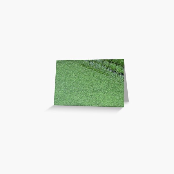 Crocovert Greeting Card