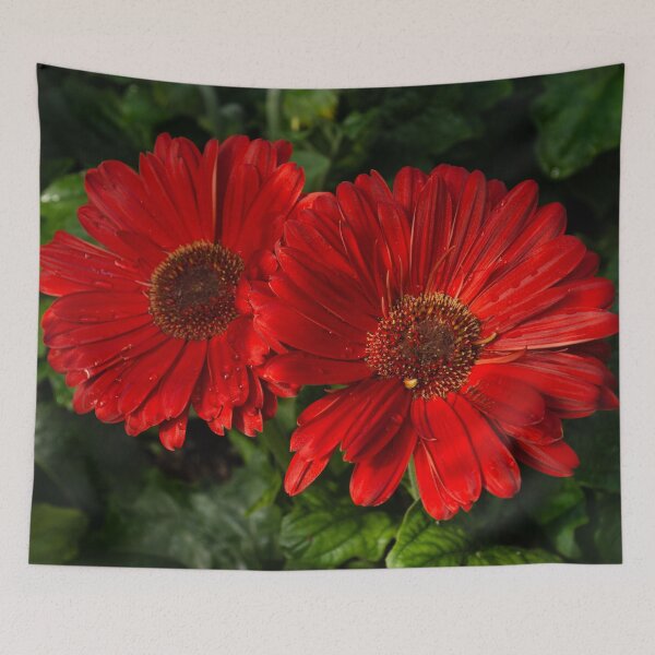 Item preview, The Glorious Red Duo - Two Scarlet Gerbera Daisies  designed and sold by Georgia Mizuleva.