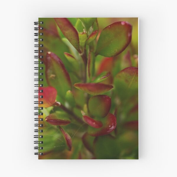Item preview, Apollo Bay AUG2015 -3 designed and sold by beeden.
