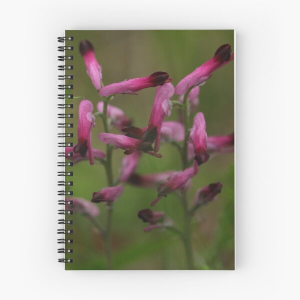 Item preview, Apollo Bay AUG2015 -5 designed and sold by beeden.
