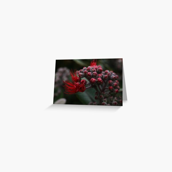 Item preview, Apollo Bay AUG2015 -6 designed and sold by beeden.