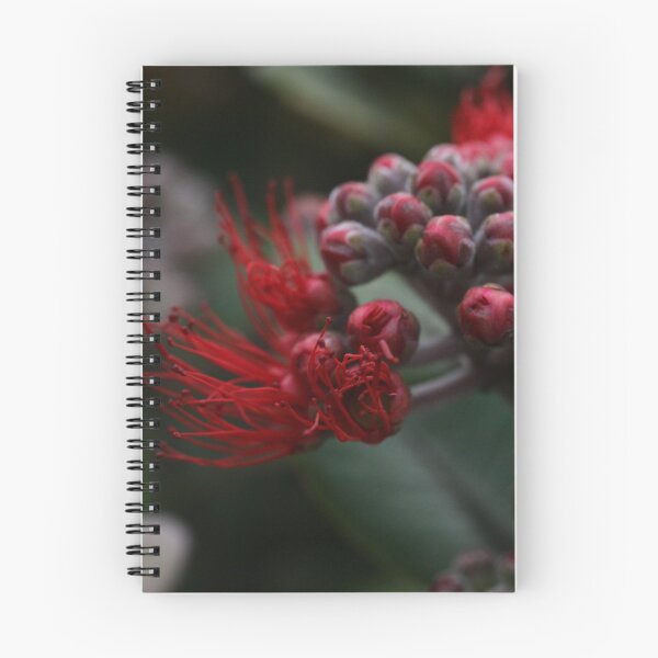 Item preview, Apollo Bay AUG2015 -6 designed and sold by beeden.