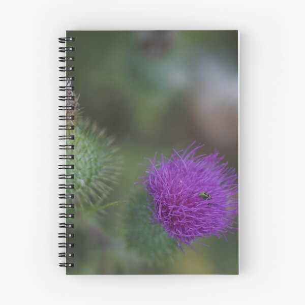 Item preview, a thorny affair designed and sold by distracted.