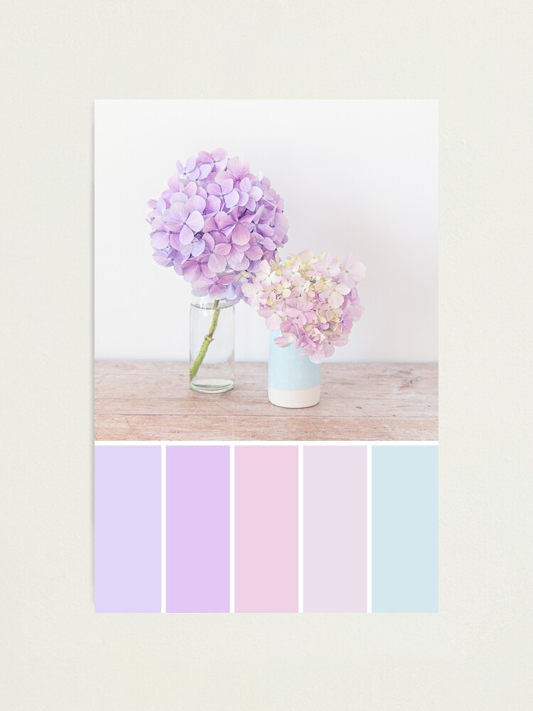 Pastel Hydrangeas Colour Palette in shades of purple and pink