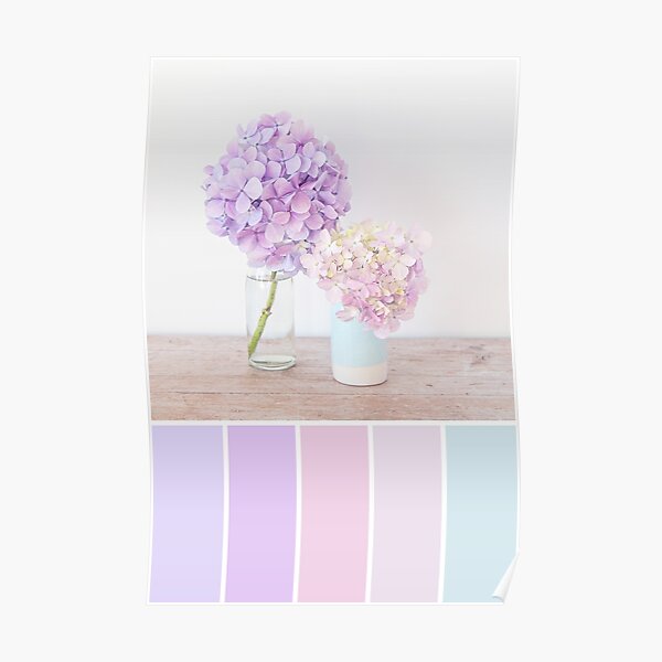 Póster «Paleta de colores pastel Hydrangeas en tonos de púrpura y rosa» de  zoepower | Redbubble