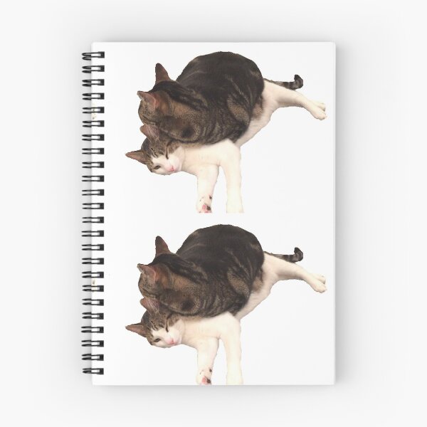 Item preview, Cat Meme designed and sold by Rachel Meiners.