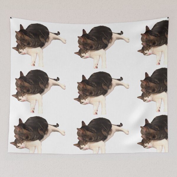 Item preview, Cat Meme designed and sold by Rachel Meiners.