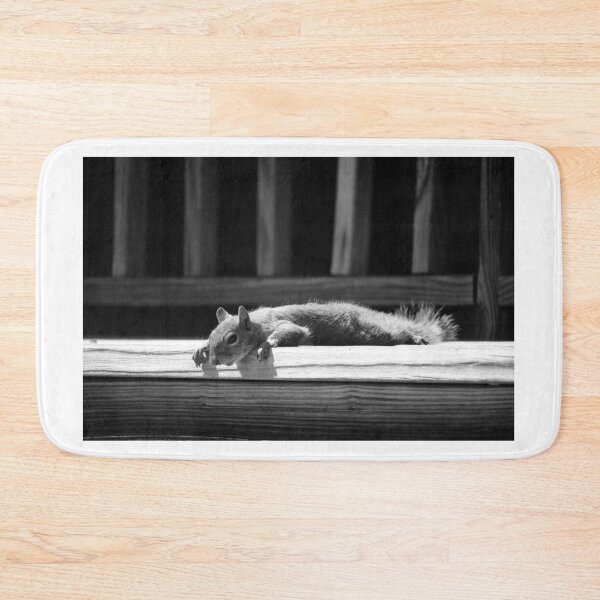 Item preview, Squirrel Break designed and sold by Cynthia48.