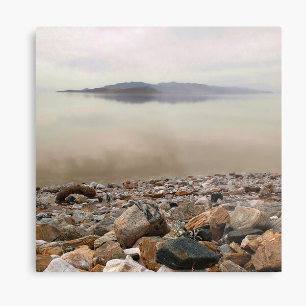 Elemental Metal Print