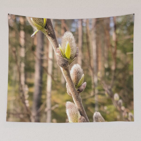 Item preview, Pussy Willow designed and sold by Barry W  King.