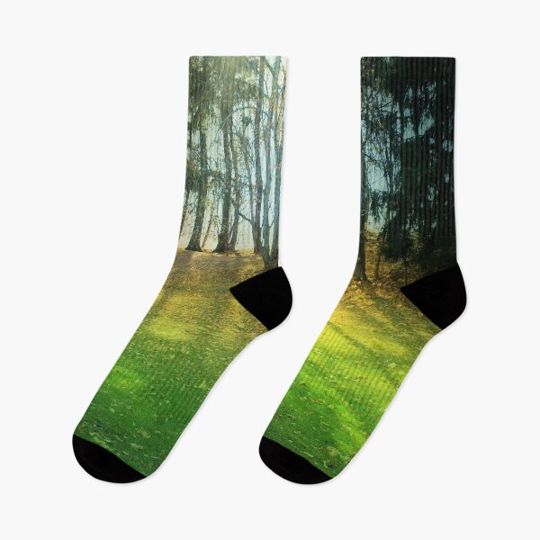 Item preview, Forest Landscape In Uppsala Sweden designed and sold by Barry W  King.