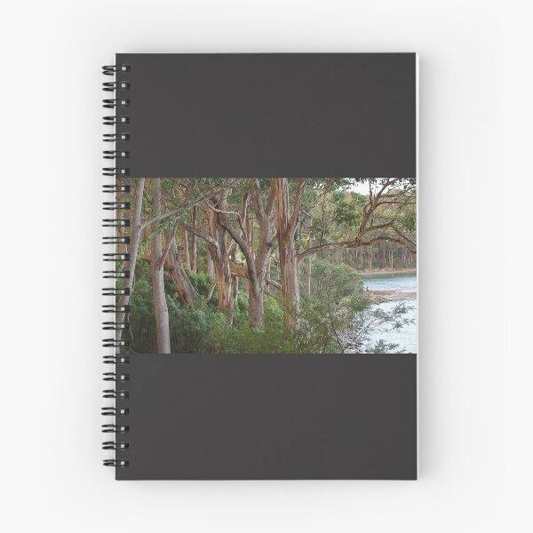 Item preview, Wooded view - Eaglehawk Neck designed and sold by imaginethis.
