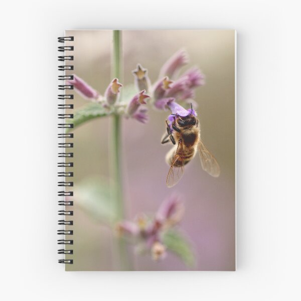 Item preview, Bee on Catmint designed and sold by Tracy Friesen.