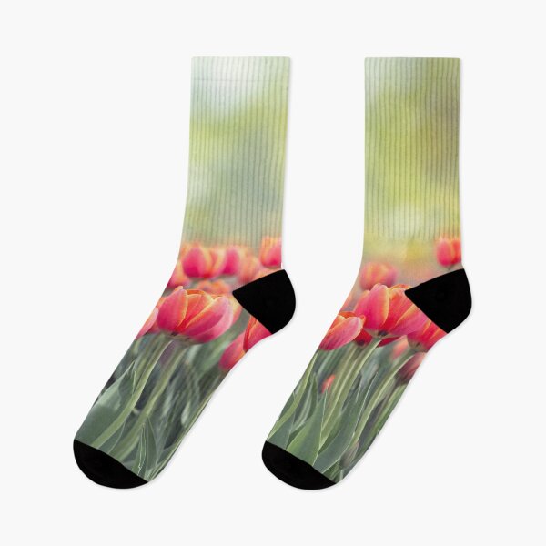 Item preview, Tulip flowers meadow, selective focus. Spring nature background designed and sold by svetlanna.