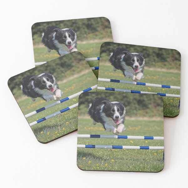 Item preview, dog jump designed and sold by Dave Tucker.