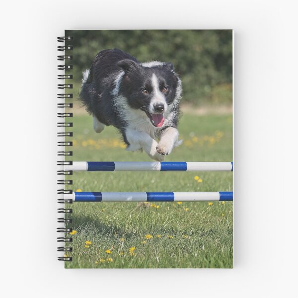 Item preview, dog jump designed and sold by Dave Tucker.