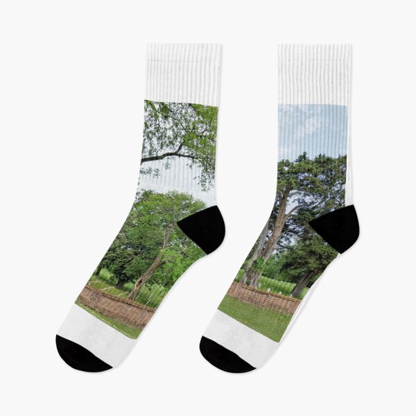 Item preview, Vicksburg National Cemetery 1 designed and sold by jtrommer.