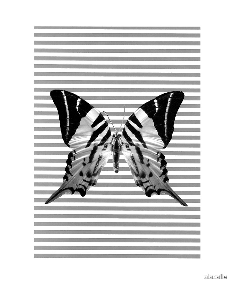 Butterfly Effect Ipad Case Skin By Alacalle Redbubble