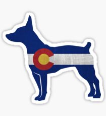 Rat Terrier Dog Breed Silhouette Filled with Colorado Flag Sticker