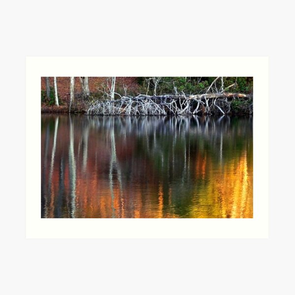 Spirit of a Down'd Oak Tree Art Print