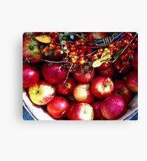 Lienzo Apple Harvest