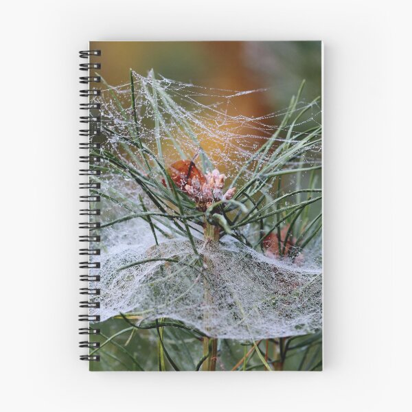 Item preview, Deceptive Safety Net designed and sold by cuprum.