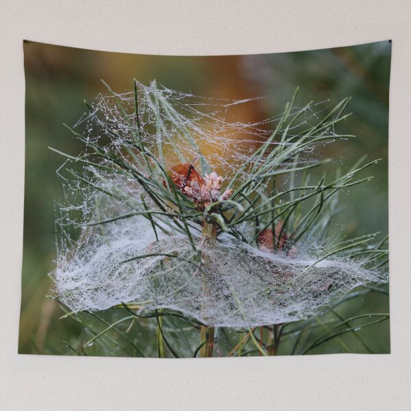 Item preview, Deceptive Safety Net designed and sold by cuprum.