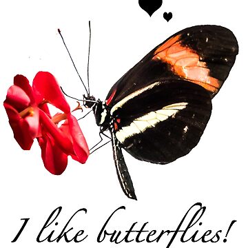 Vorschaubild zum Design Geschenkidee Schmetterling Foto "I like butterflies!" von Katja LebenFreude