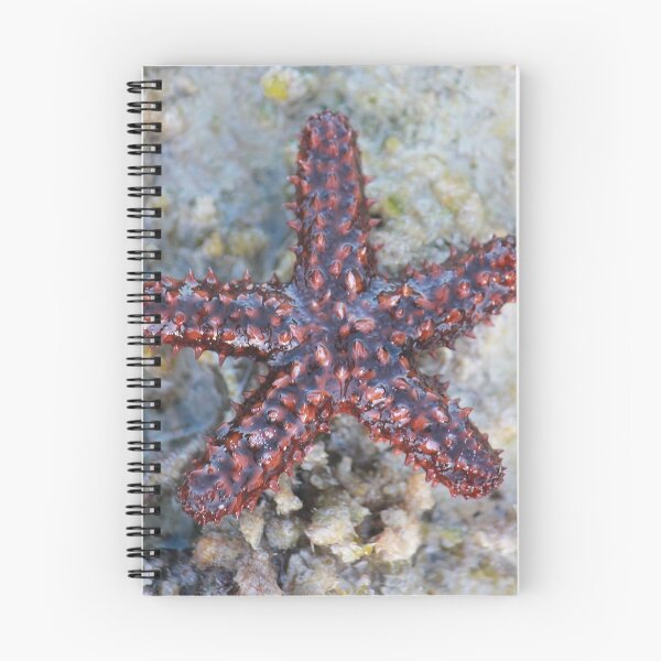Item preview, Red Reef Starfish designed and sold by Islandjunkie09.