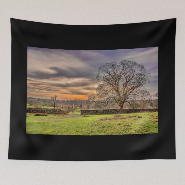 Item preview, #87 Bradgate Park designed and sold by phutball.
