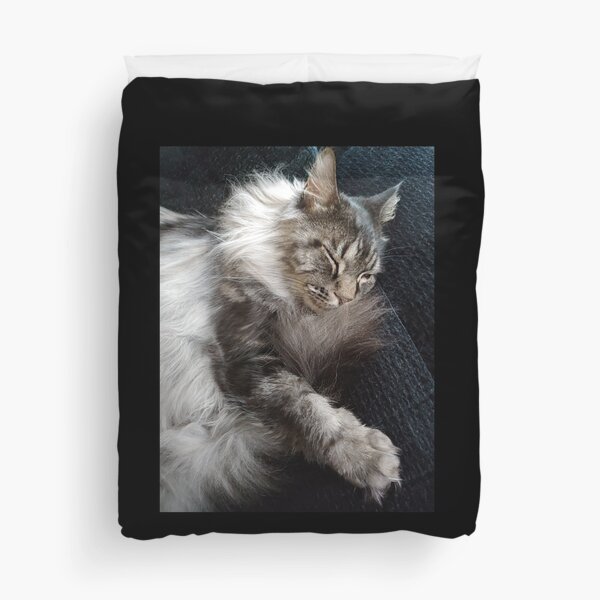 Item preview, Maine Coon Cat  designed and sold by CORNISHPHOTOS.