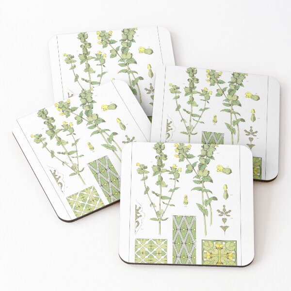 Item preview, Rhinanthus Crista - Galli, Common Yellow Rattle designed and sold by simpson92.