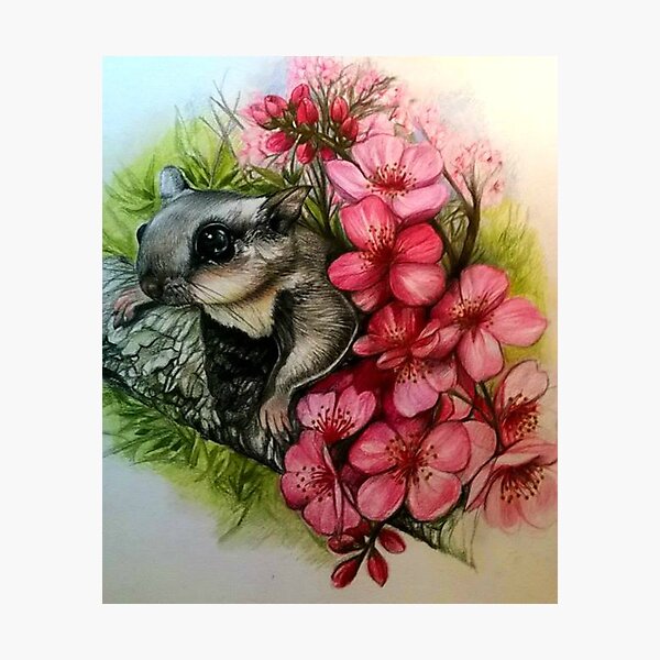 Item preview, Momonga designed and sold by Raffaella Picotti.
