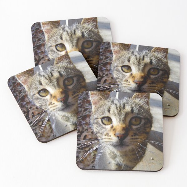 Item preview, Curiosity, Said The Cat designed and sold by WildestArt.