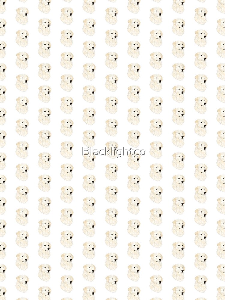 English Cream Golden Retriever by Blacklightco