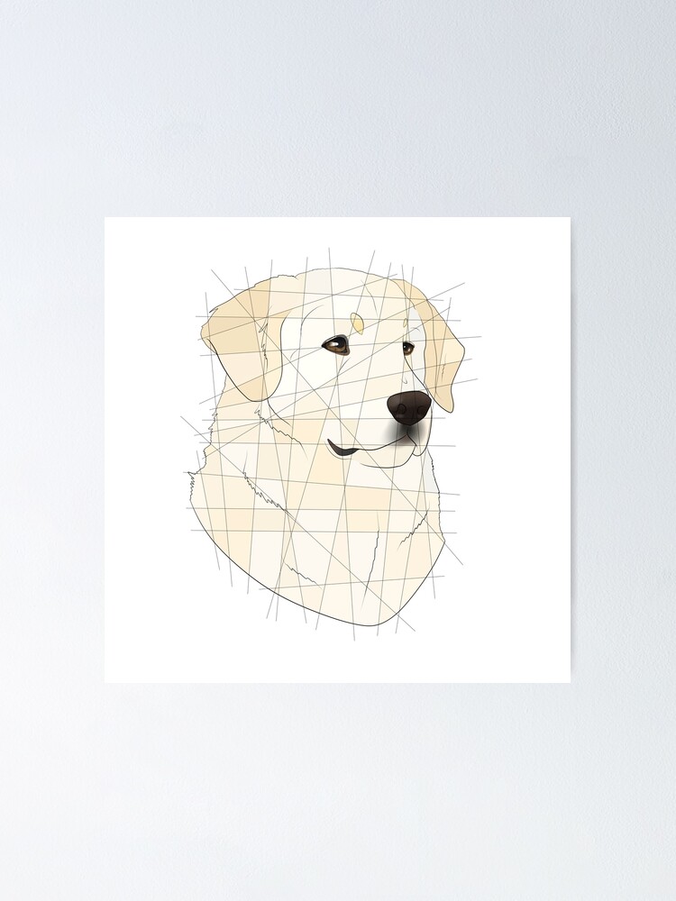 best fast acting flea treatment for dogs