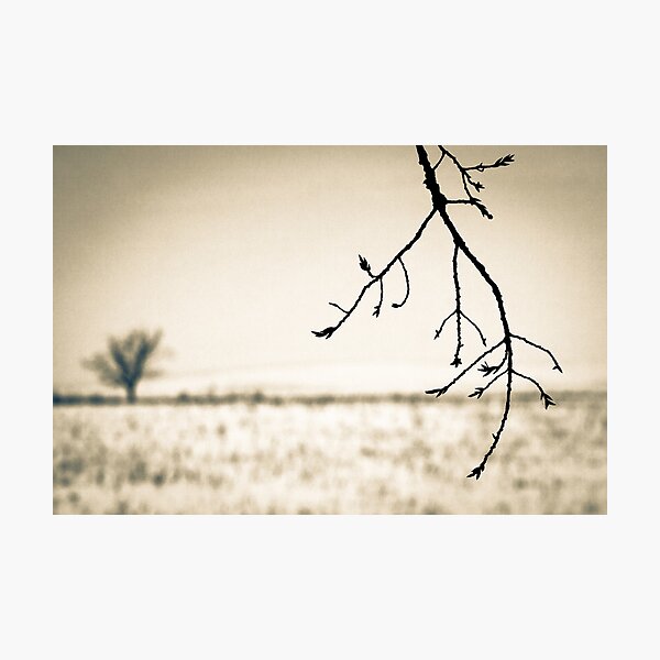 OnePhotoPerDay Series: 349 by L. Photographic Print