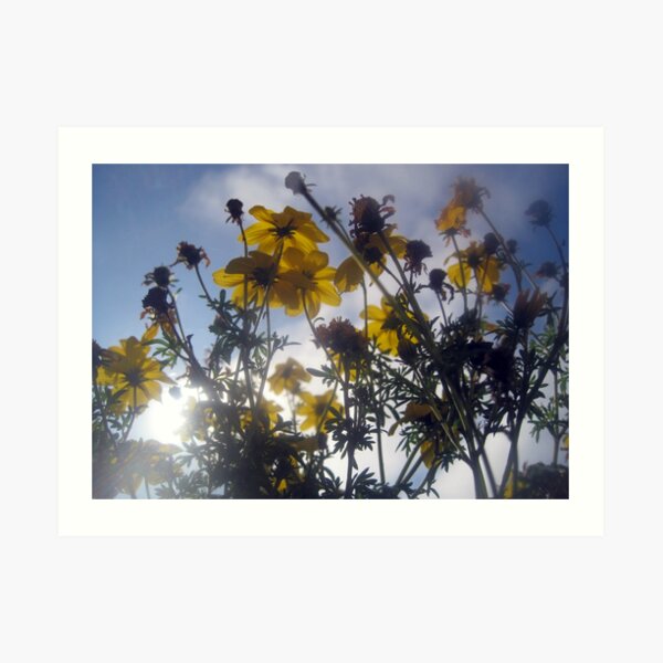 Flowers and Clouds Art Print