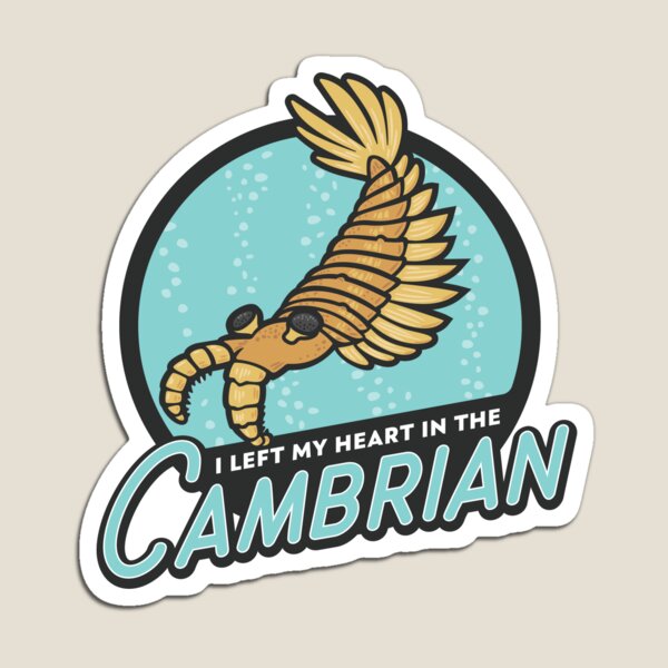 I Left My Heart in the Cambrian Magnet