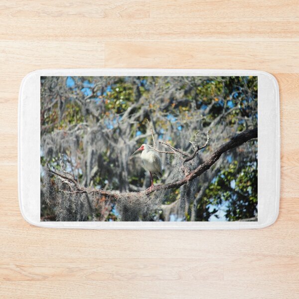 Item preview, White Ibis Perched In A Tree designed and sold by Cynthia48.